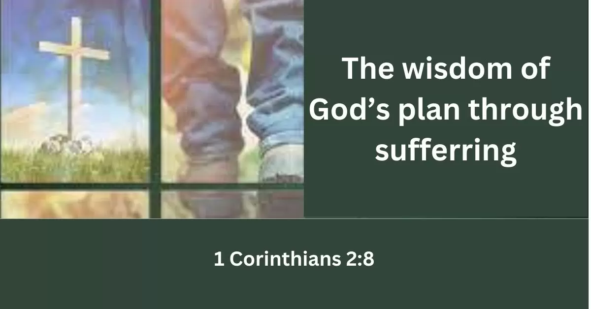 Read more about the article THE WISDOM OF GOD’S PLAN THROUGH SUFFERING