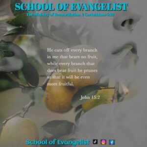 Read more about the article ARE YOU FRUITFUL?